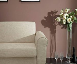 637273735162986279_1379951_564801400241798_125932717_n