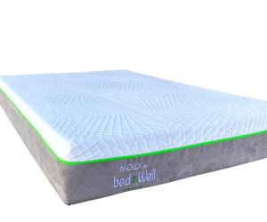 638011648211516731_molli-per-sito